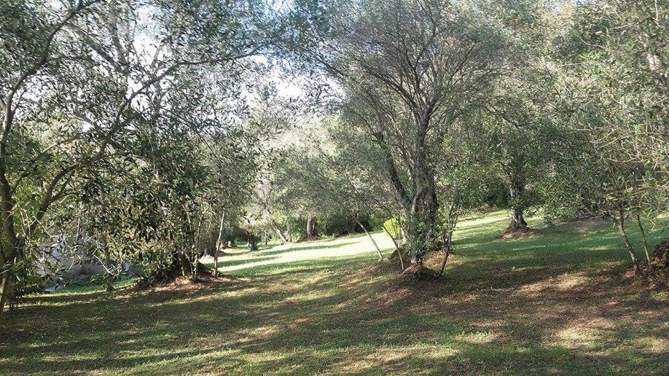 Karamali Green Danilia Villas Gouvia Esterno foto